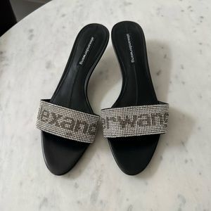 Alexander Wang new slides